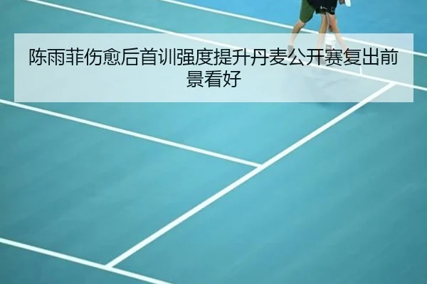 陈雨菲伤愈后首训强度提升丹麦公开赛复出前景看好